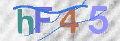 この文字を入力してください