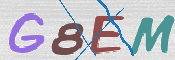 この文字を入力してください