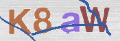 この文字を入力してください