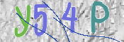 この文字を入力してください