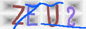 この文字を入力してください