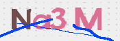 この文字を入力してください