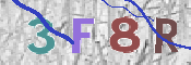 この文字を入力してください