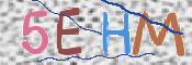 この文字を入力してください