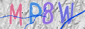 この文字を入力してください