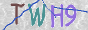 この文字を入力してください