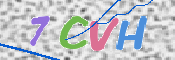 この文字を入力してください