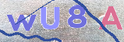 この文字を入力してください