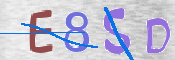 この文字を入力してください