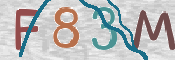 この文字を入力してください