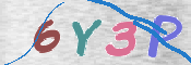 この文字を入力してください