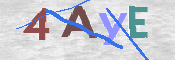 この文字を入力してください