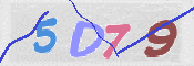 この文字を入力してください