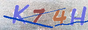 この文字を入力してください