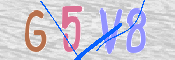 この文字を入力してください