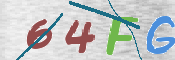 この文字を入力してください
