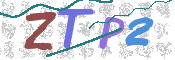 この文字を入力してください
