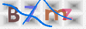 この文字を入力してください