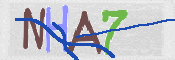 この文字を入力してください