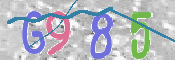 この文字を入力してください