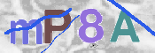 この文字を入力してください