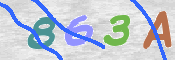 この文字を入力してください