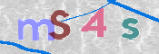 この文字を入力してください