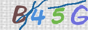 この文字を入力してください