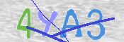 この文字を入力してください