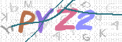 この文字を入力してください