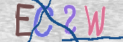 この文字を入力してください