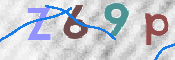 この文字を入力してください