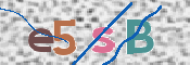 この文字を入力してください