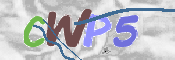 この文字を入力してください