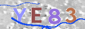 この文字を入力してください