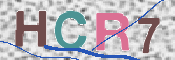 この文字を入力してください