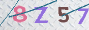 この文字を入力してください