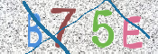 この文字を入力してください