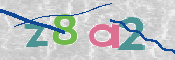 この文字を入力してください