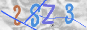 この文字を入力してください