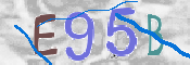 この文字を入力してください