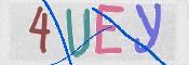 この文字を入力してください