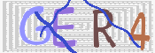この文字を入力してください