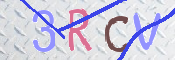 この文字を入力してください