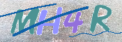 この文字を入力してください