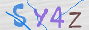 この文字を入力してください