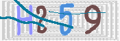 この文字を入力してください
