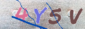 この文字を入力してください