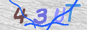 この文字を入力してください