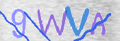 この文字を入力してください